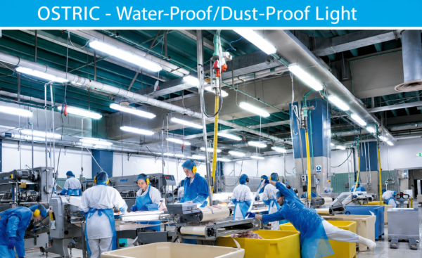 Waterproof LED Light Pakistan