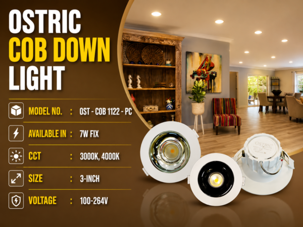 COB Down Light Pakistan
