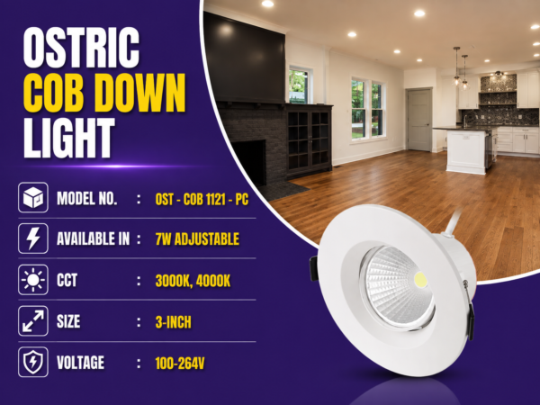 COB Downlight Pakistan